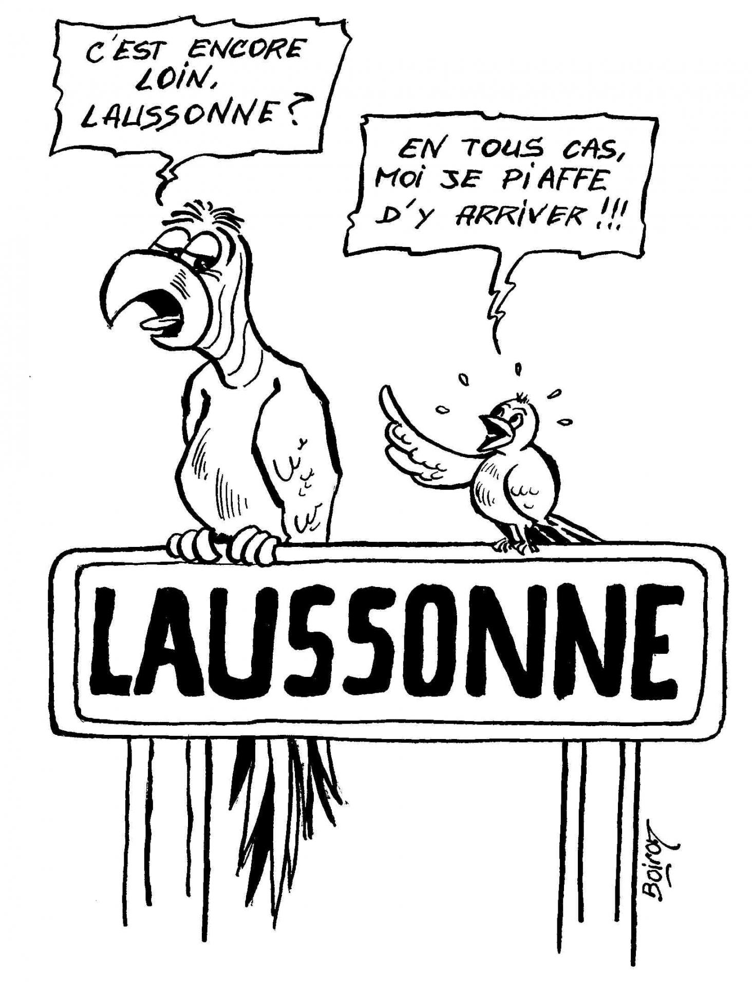 Affiche oiseaux laussonne