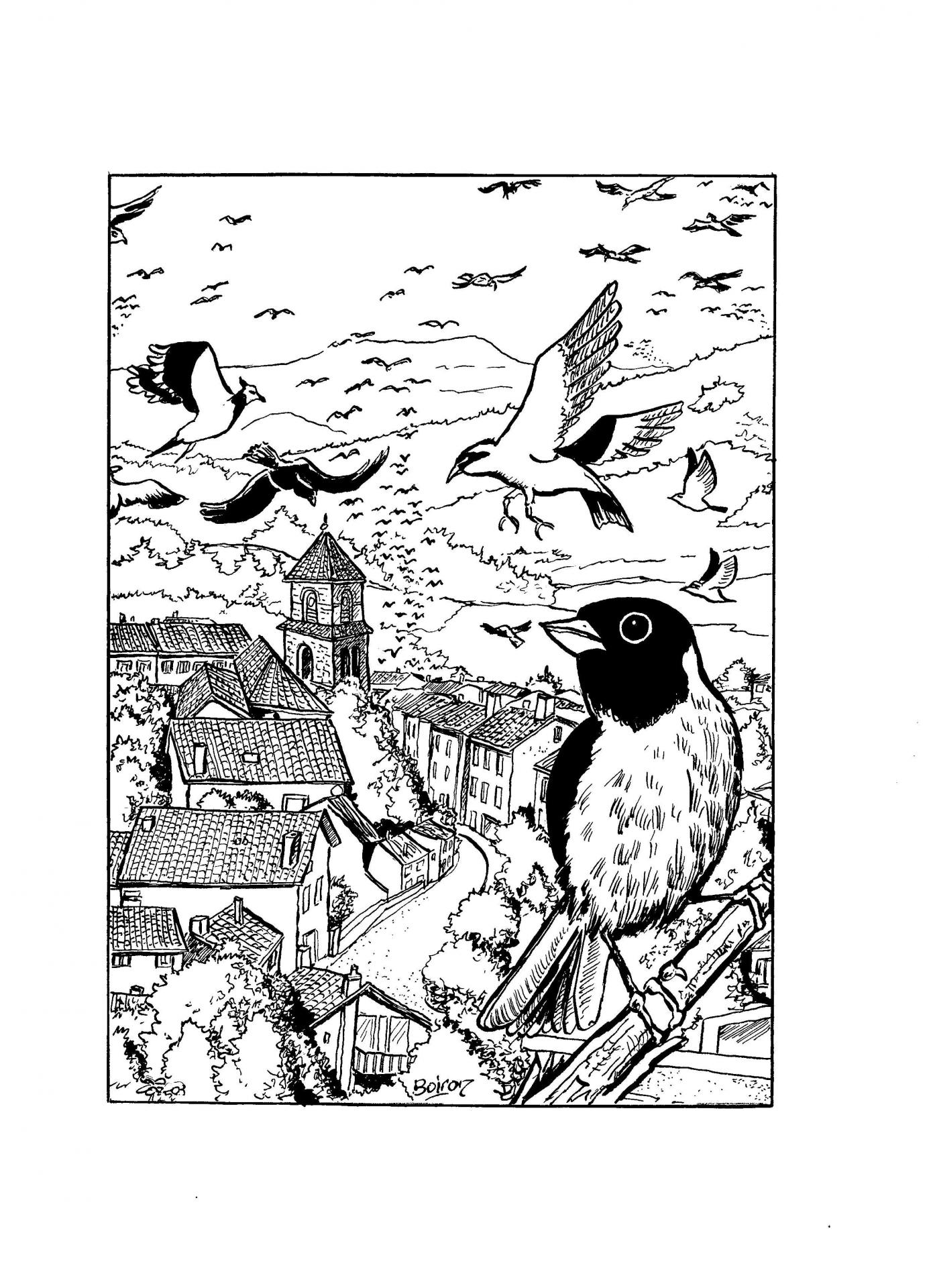 Oiseaux laussonne